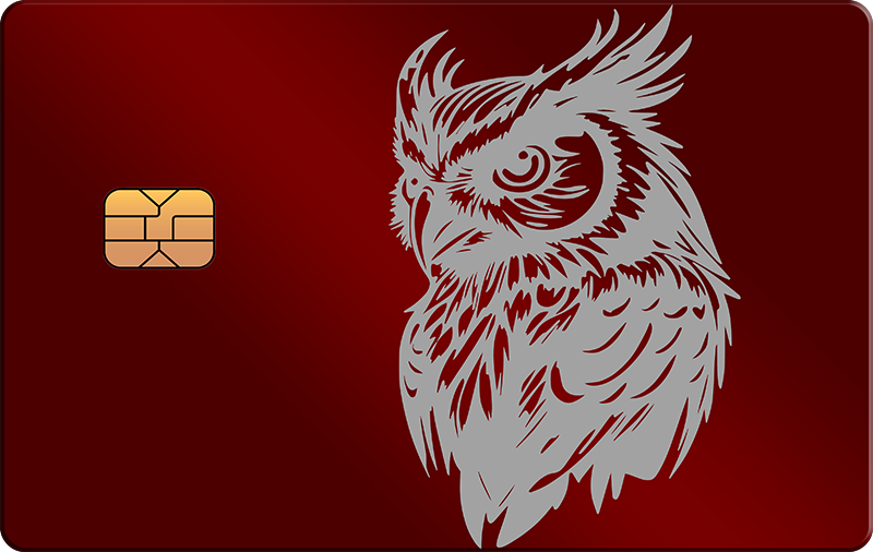Owl 3